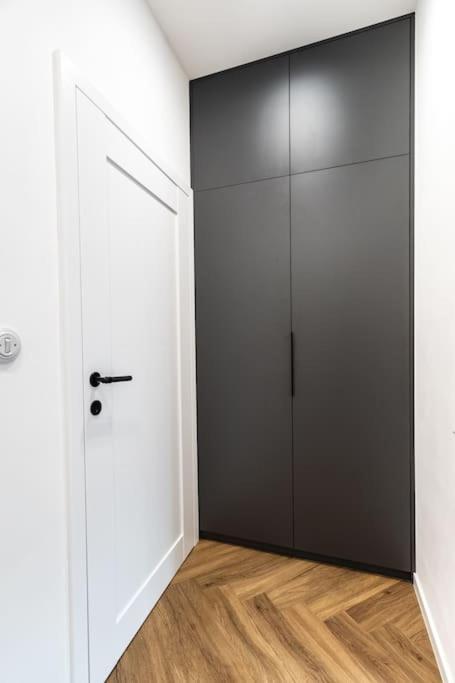 Myslbekova 5 Apartment Ostrava Exterior photo